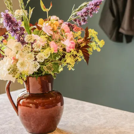 度假居 Snowdrop *