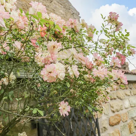 Tatil Evi Snowdrop Scarborough