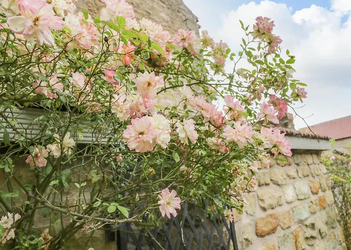 Tatil Evi Snowdrop Scarborough